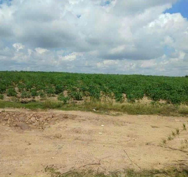 Cần bán gấp lô  đất có diện tích 1,6 mẫu đất  tại huyện La Pa, tỉnh Gia Lai