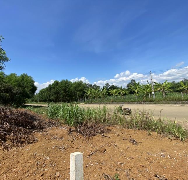 Bán đất tại Đường Dốc Sỏi, Bình Sơn,  Quảng Ngãi diện tích 2000m2  giá 260 Triệu