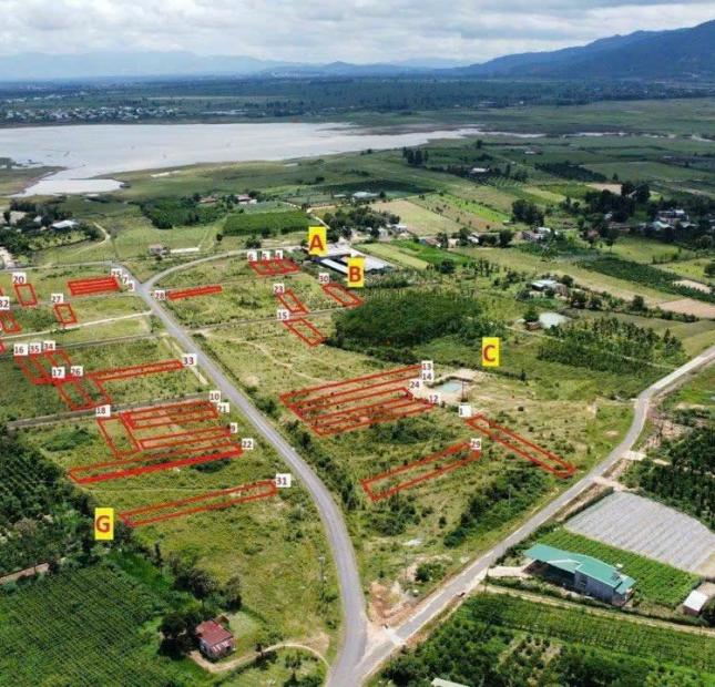 Bán cắt lỗ đất dự án nghỉ dưỡng kết hợp nông nghiệp xanh biển hồ Village Pleiku