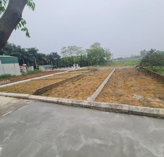 Càn bán lô đất 100m2 Hòa Lạc, ngay ngã 3 Áp Phích Vân Lôi. LH 0932 569 112